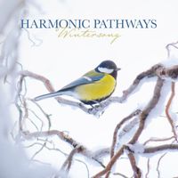 Harmonic Pathways - Wintersong