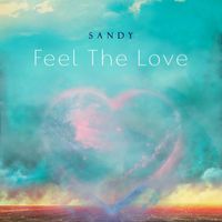 Sandy - Feel The Love