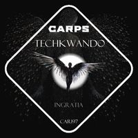 TechKwando - Ingratia