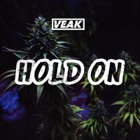 Veak - Hold On