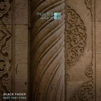 Black Fader - Need This / Etnia