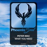 Peter Mac - What You Need