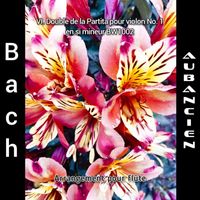 Aubancien - Bach: Vi. Double de la Partita pour violon No. 1 en si mineur BWV1002