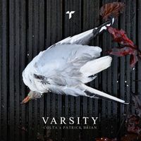 Varsity - Grunt / Lingerer Dub