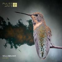 Villamizar - Colibri