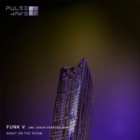 Funk V. - Night On The Room