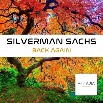 Silverman Sachs - Back again