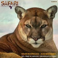 Kevin Rodriguez - Acid Machine