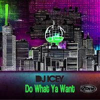 DJ Icey - Do What Ya Want