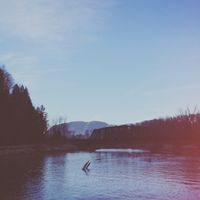 Teen Daze - Paradiso