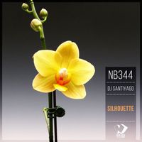 DJ SantiyaGO - Silhouette