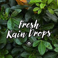 ASMR - Fresh Rain Drops
