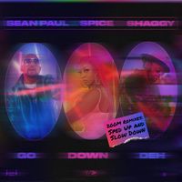 Spice - Go Down Deh 200m Remixes (feat. Shaggy & Sean Paul)