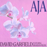 David Garfield - Aja (Instrumental Version)