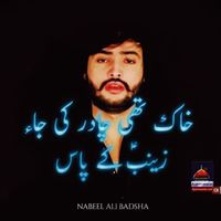 Nabeel Ali Badsha - Khak Thi Chadar Ki Jaa Zainab