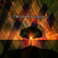 Zen Meditation and Natural White Noise and New Age Deep Massage - 37 Realm Of Tranquility