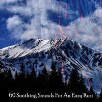 Healing Music - 60 Soothing Sounds For An Easy Rest