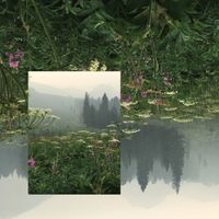 Teen Daze - Bioluminescence (Remixes)