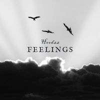 Hoodzz - Feelings