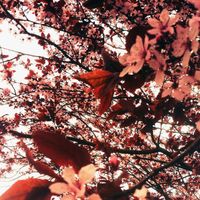 Teen Daze - The House on the Mountain