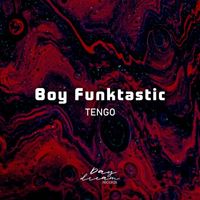 Boy Funktastic - Tengo