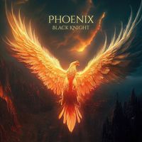 Black Knight - Phoenix