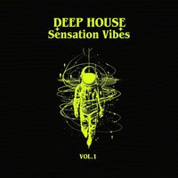 Steven Mercier - Deep house - Sensation Vibes, vol.1