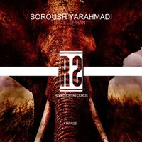 Soroush Yarahmadi - Big Elephant