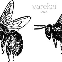 Varekai - AIRES
