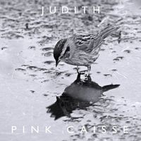 Judith - Pink Caisse