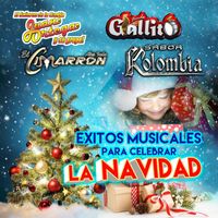 Various Artists - Exitos Musicales Para Celebrar La Navidad
