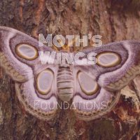 Foundations - Moth Wings