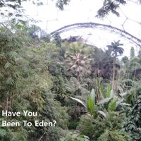 Wish You Well - Have You Been To Eden