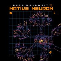 Luca Kallweit - Native Neuron