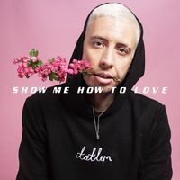Example - Show Me How to Love (feat. Hayla)