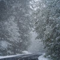 Four Seasons - Winter