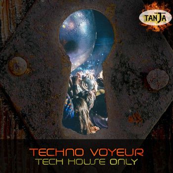 Various Artists - Techno Voyeur (Tech House Only)