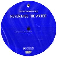 Freak Brothers - Never Miss the Water