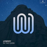 Lowkey - In the Dark
