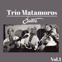 Trio Matamoros - Trío Matamoros-Éxitos, Vol. 1