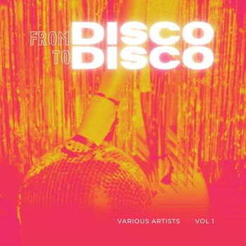 Various Artists - From Disco To Disco, Vol. 1 (Explicit)