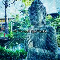 Forest Sounds - 45 Tranquil Spa Tracks