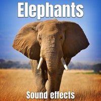 Sound Ideas - Elephants Sound Effects