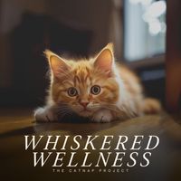 Cats Music Zone - Whiskered Wellness