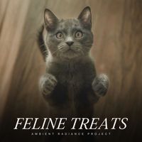 Music for Cats Peace - Feline Treats