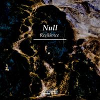 null - Resilience