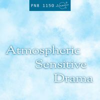 Plan 8 - Atmospheric Sensitive Drama: Minimal, Moody, Mystery