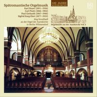 Various Artists - Late Romantic Organ Music: Karl Hoyer, Carl Piutti, Paul Gerhardt, Sigfrid Karg-Elert