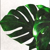 Chlorophyll - Your Eyes