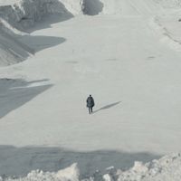 Molnár Ferenc Caramel - Analógia